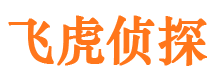 公安市调查公司